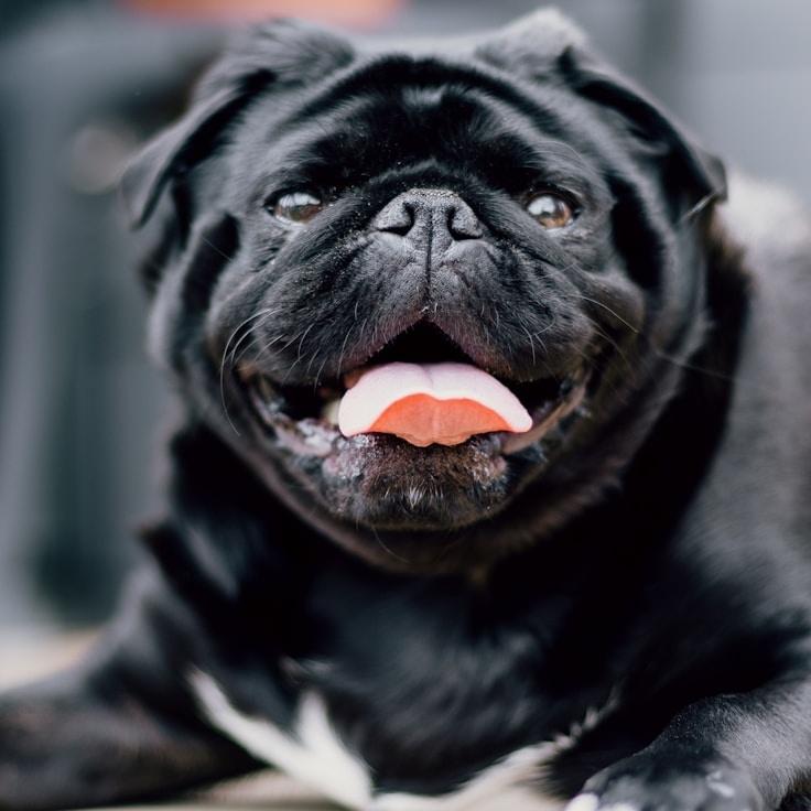 Alex Rivera, Lead Design Curator at NeutralGrowthVector, reviewing corporate floral arrangements